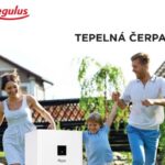 regulus